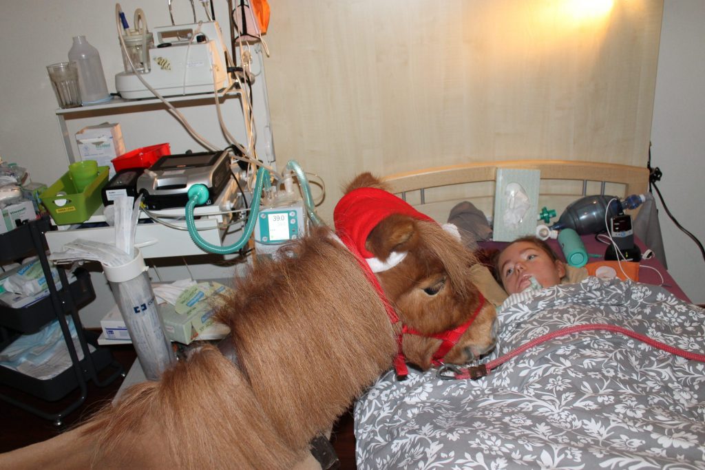 Ein Pony zu Besuch in einem Pflegezimmer im Kinderhospiz Löwenherz