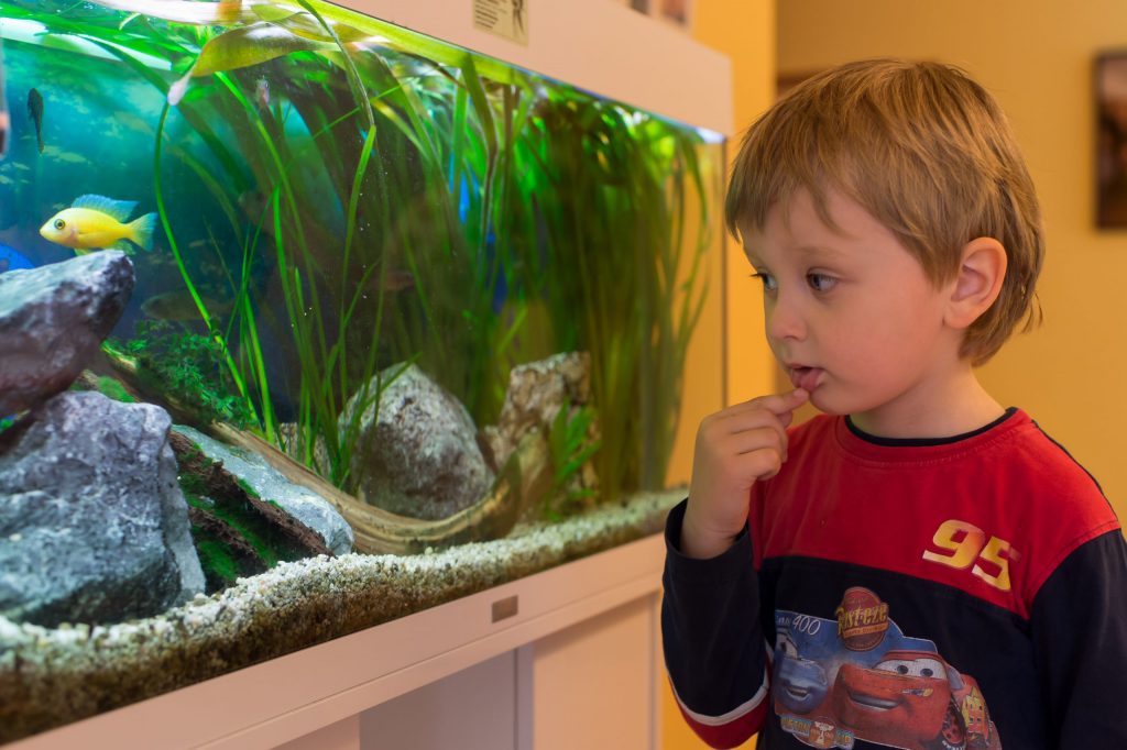Ein Kind schaut ins Aquarium im Kinderhospiz Löwenherz